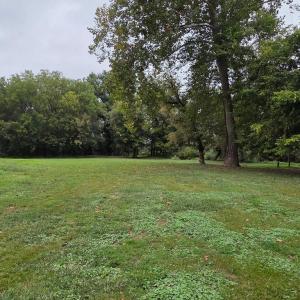Photo #53 of SUNSET WOODS TRAIL, RIXEYVILLE, VA 10.9 acres
