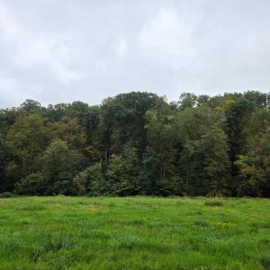 Photo #54 of SUNSET WOODS TRAIL, RIXEYVILLE, VA 10.9 acres