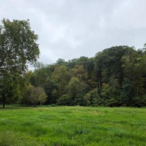 Photo #55 of SUNSET WOODS TRAIL, RIXEYVILLE, VA 10.9 acres