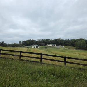 Photo #51 of SUNSET WOODS TRAIL, RIXEYVILLE, VA 10.9 acres