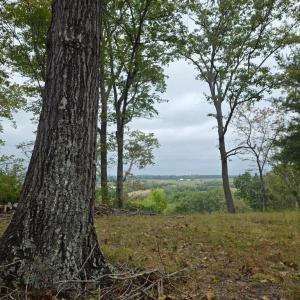 Photo #3 of SUNSET WOODS TRAIL, RIXEYVILLE, VA 10.9 acres
