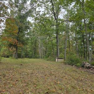 Photo #17 of SUNSET WOODS TRAIL, RIXEYVILLE, VA 10.9 acres