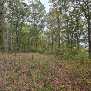 Photo #21 of SUNSET WOODS TRAIL, RIXEYVILLE, VA 10.9 acres