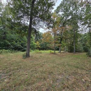Photo #23 of SUNSET WOODS TRAIL, RIXEYVILLE, VA 10.9 acres