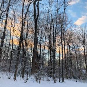 Photo #33 of SUNSET WOODS TRAIL, RIXEYVILLE, VA 10.9 acres