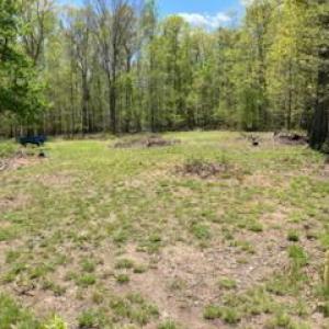 Photo #26 of SUNSET WOODS TRAIL, RIXEYVILLE, VA 10.9 acres