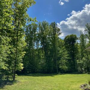 Photo #32 of SUNSET WOODS TRAIL, RIXEYVILLE, VA 10.9 acres