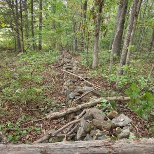 Photo #31 of SUNSET WOODS TRAIL, RIXEYVILLE, VA 10.9 acres