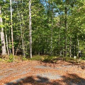 Photo #7 of 14 MECHUNK TER, PALMYRA, VA 1.4 acres