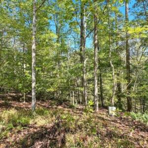 Photo #8 of 14 MECHUNK TER, PALMYRA, VA 1.4 acres