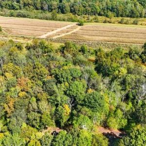 Photo #10 of 14 MECHUNK TER, PALMYRA, VA 1.4 acres