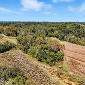 Photo #12 of 14 MECHUNK TER, PALMYRA, VA 1.4 acres