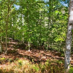 Photo #9 of 14 MECHUNK TER, PALMYRA, VA 1.4 acres