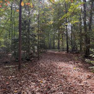 Photo #2 of TURKEY TRAIL, MINERAL, VA 3.6 acres