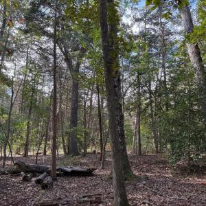 Photo #3 of TURKEY TRAIL, MINERAL, VA 3.6 acres