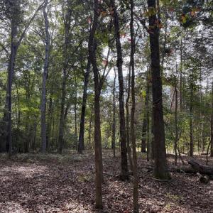 Photo #4 of TURKEY TRAIL, MINERAL, VA 3.6 acres