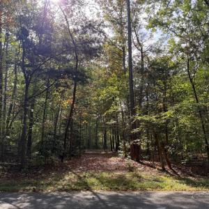 Photo #5 of TURKEY TRAIL, MINERAL, VA 3.6 acres