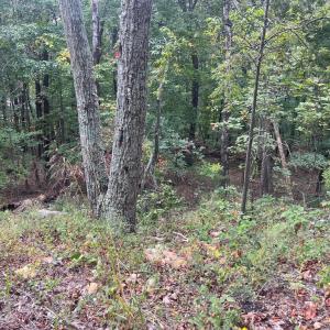 Photo #1 of PANORAMA VIEW, STANLEY, VA 3.4 acres