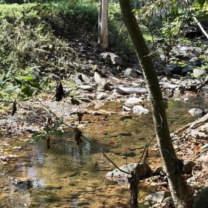 Photo #3 of HARRIS HOLLOW RD, WASHINGTON, VA 9.8 acres