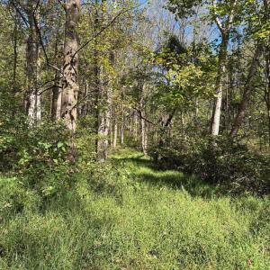 Photo #5 of HARRIS HOLLOW RD, WASHINGTON, VA 9.8 acres
