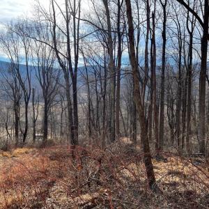 Photo #1 of HARRIS HOLLOW RD, WASHINGTON, VA 9.8 acres