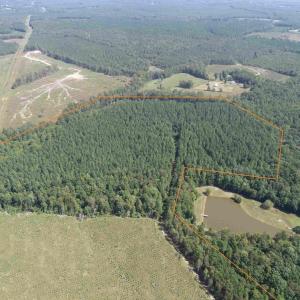 Photo #2 of COMMUNITY HOUSE ROAD (TRACT: JR RAGLAND-HOLLAND-2), COLUMBIA, VA 80.0 acres