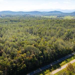 Photo #6 of LEE HIGHWAY, AMISSVILLE, VA 6.0 acres