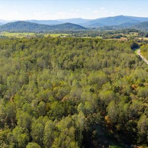 Photo #7 of LEE HIGHWAY, AMISSVILLE, VA 6.0 acres