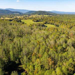 Photo #9 of LEE HIGHWAY, AMISSVILLE, VA 6.0 acres