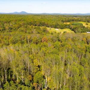 Photo #12 of LEE HIGHWAY, AMISSVILLE, VA 6.0 acres