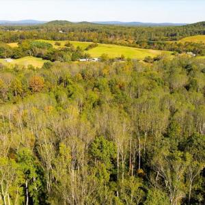 Photo #13 of LEE HIGHWAY, AMISSVILLE, VA 6.0 acres