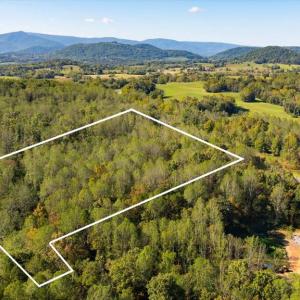 Photo #2 of LEE HIGHWAY, AMISSVILLE, VA 6.0 acres