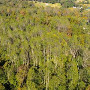 Photo #11 of LEE HIGHWAY, AMISSVILLE, VA 6.0 acres