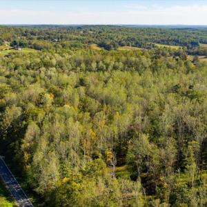 Photo #14 of LEE HIGHWAY, AMISSVILLE, VA 6.0 acres