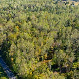 Photo #15 of LEE HIGHWAY, AMISSVILLE, VA 6.0 acres