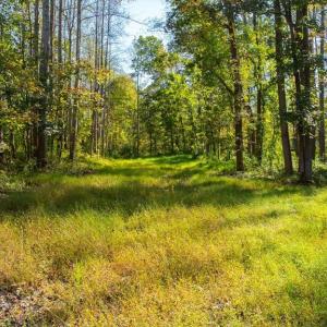 Photo #3 of LEE HIGHWAY, AMISSVILLE, VA 6.0 acres