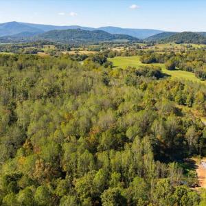 Photo #8 of LEE HIGHWAY, AMISSVILLE, VA 6.0 acres