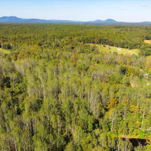 Photo #10 of LEE HIGHWAY, AMISSVILLE, VA 6.0 acres