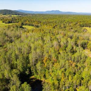 Photo #17 of LEE HIGHWAY, AMISSVILLE, VA 6.0 acres