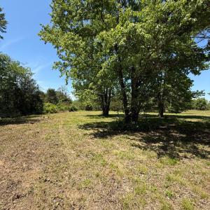 Photo #10 of CATLETT RD, BEALETON, VA 4.6 acres