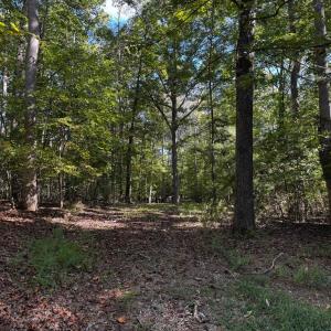 Photo #3 of SIR WALTER DRIVE, BUMPASS, VA 1.9 acres