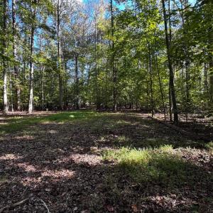 Photo #4 of SIR WALTER DRIVE, BUMPASS, VA 1.9 acres