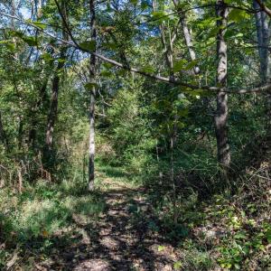 Photo #4 of ORANGE RD, PRATTS, VA 11.1 acres