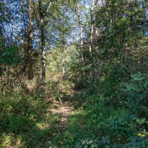 Photo #5 of ORANGE RD, PRATTS, VA 11.1 acres