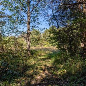 Photo #6 of ORANGE RD, PRATTS, VA 11.1 acres