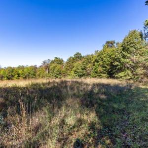 Photo #2 of ORANGE RD, PRATTS, VA 11.1 acres