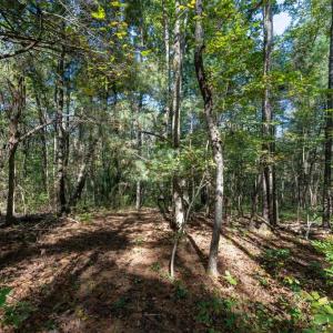 Photo #7 of ORANGE RD, PRATTS, VA 11.1 acres