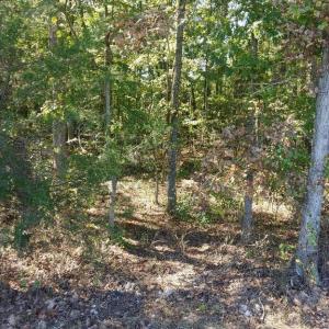Photo #1 of 33 ZACHARY TAYLOR HWY, UNIONVILLE, VA 1.6 acres