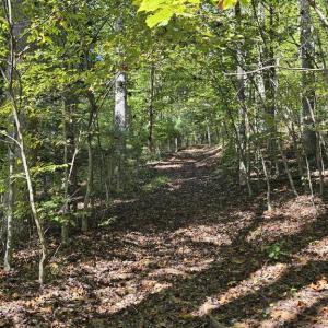 Photo #14 of HURT HOLLOW RD, BANCO, VA 29.5 acres