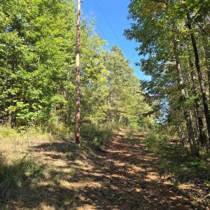 Photo #15 of HURT HOLLOW RD, BANCO, VA 29.5 acres